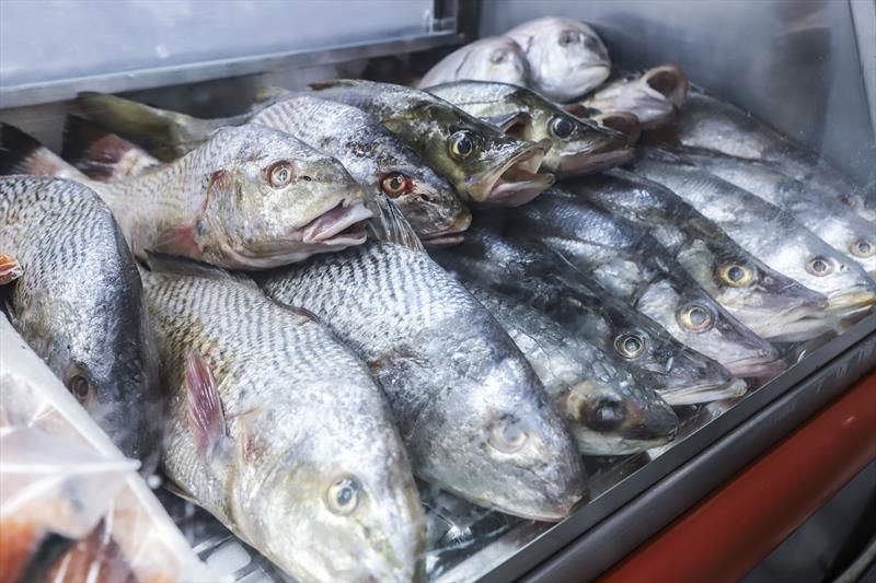 Compre SÃO PEDRO- Peixe fresco em casa