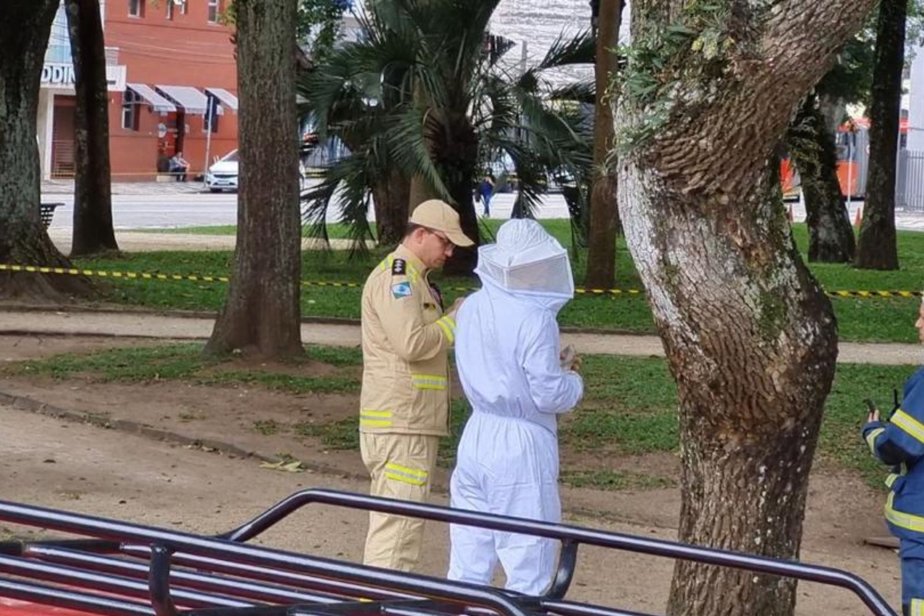 Ataque de abelhas deixou duas pessoas em estado grave em Curitiba