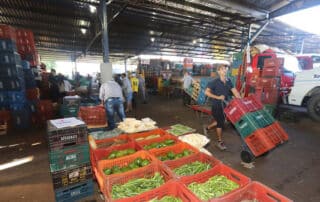 Frio e chuva puxam alta de 14% no preço dos produtos da Ceasa em Curitiba