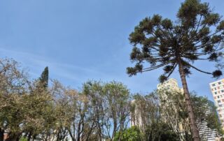 O tempo muda em todo o Paraná neste domingo (21)