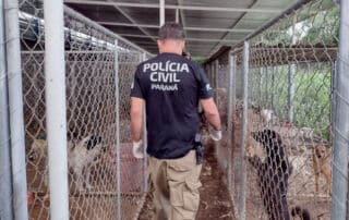 Recorre decisão de maus-tratos